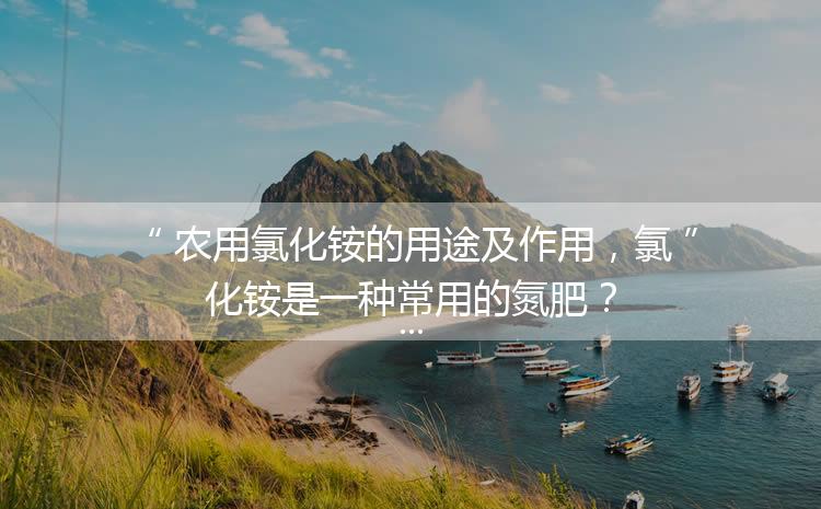 農(nóng)用氯化銨的用途及作用，氯化銨是一種常用的氮肥？